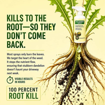 Natural Weed and Grass Control Spray for Outdoor Use