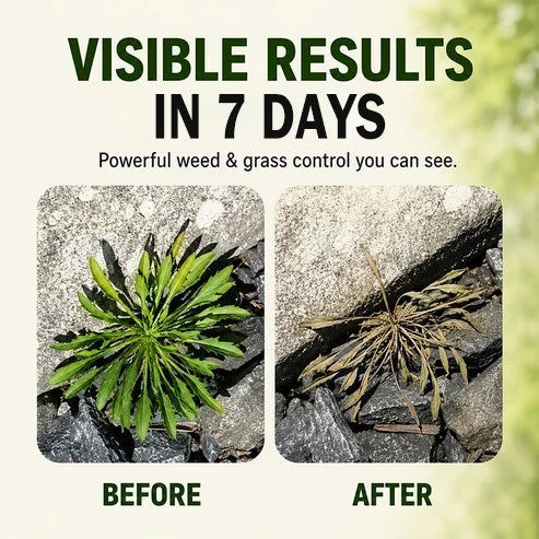 Natural Weed and Grass Control Spray for Outdoor Use