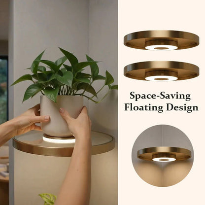 Wall-Mounted Display Ledge with Ambient Light and USB Port